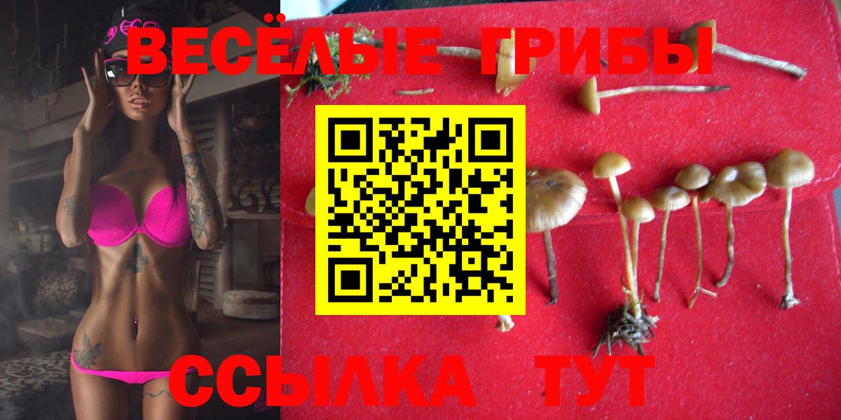 Галлюциногенные грибы мухоморы  Урай 