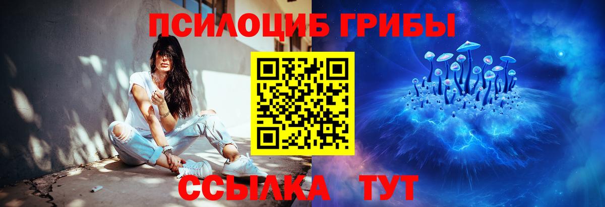 Галлюциногенные грибы Psilocybine cubensis Урай