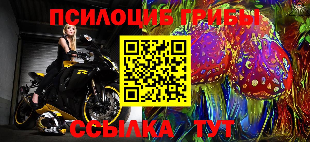 Псилоцибиновые грибы GOLDEN TEACHER  Вход с VPN  Псилоцибиновые грибы Magic Shrooms  Урай 